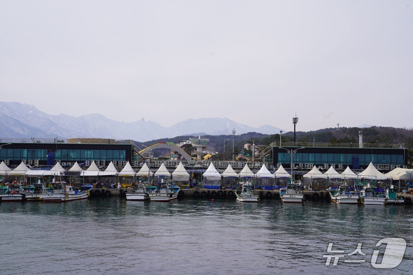속초지역 항구 자료사진.(속초시 제공, 재판매 및 DB 금지)