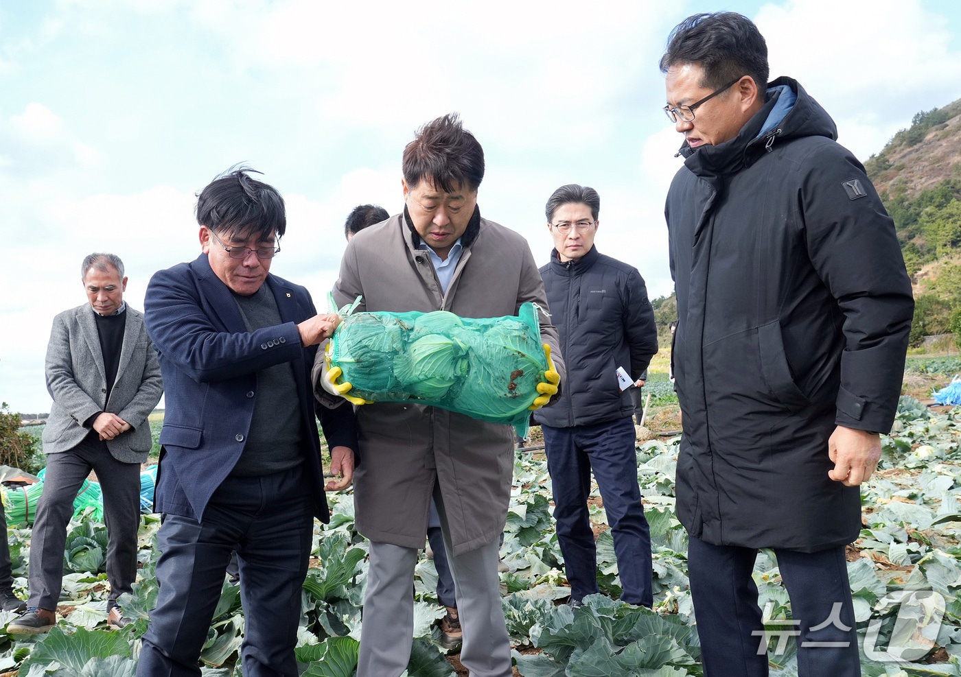 오영훈 제주특별자치도지사(가운데)와 이춘협 농협중앙회 제주본부장(오른쪽)이 12일 제주시 한경면의 한 양배추 밭에서 양배추 생육 상태와 수확 상황을 점검하고 있다.(제주특별자치도 제공, 재판매 및 DB 금지)
