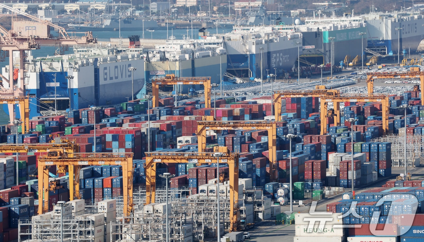 사진은 13일 경기 평택시 포승읍 평택항에 수출용 컨테이너가 쌓여있는 모습. 2026.1.13/뉴스1 ⓒ News1 김영운 기자