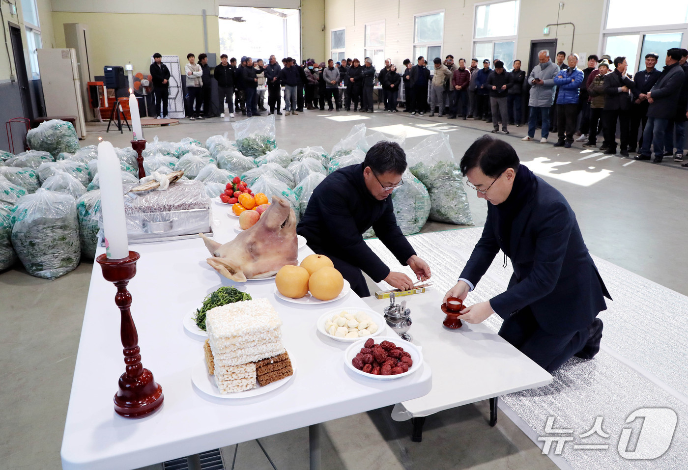 '하동 취나물' 초매식이 13일 하동농협 적량지점 산지유통센터에서 열리고 있다(하동군 제공. 재판매 및 DB금지).