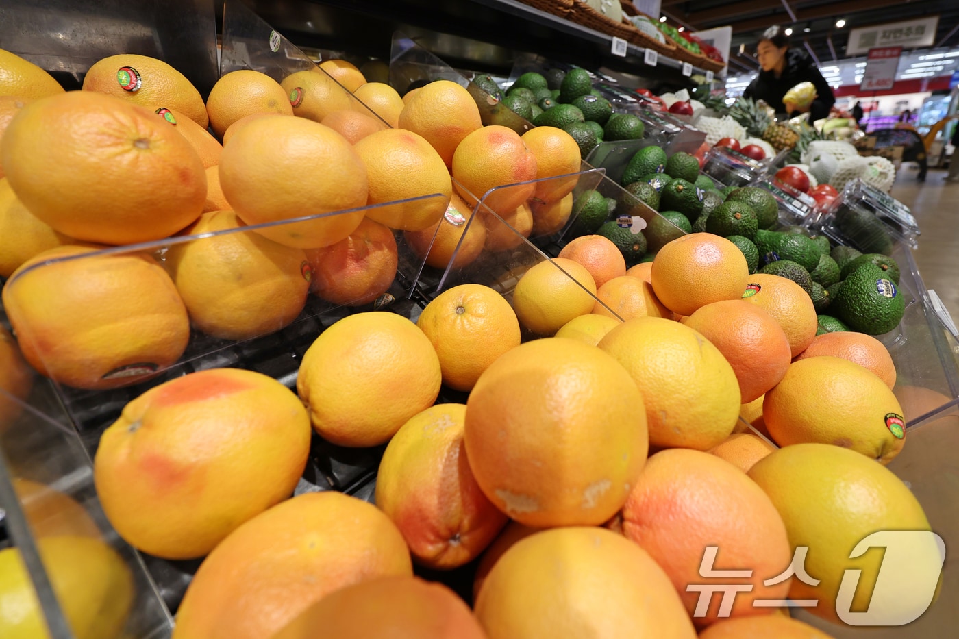 14일 서울시내 한 대형마트에 수입 과일이 진열돼 있다. 2026.1.14/뉴스1 ⓒ News1 황기선 기자