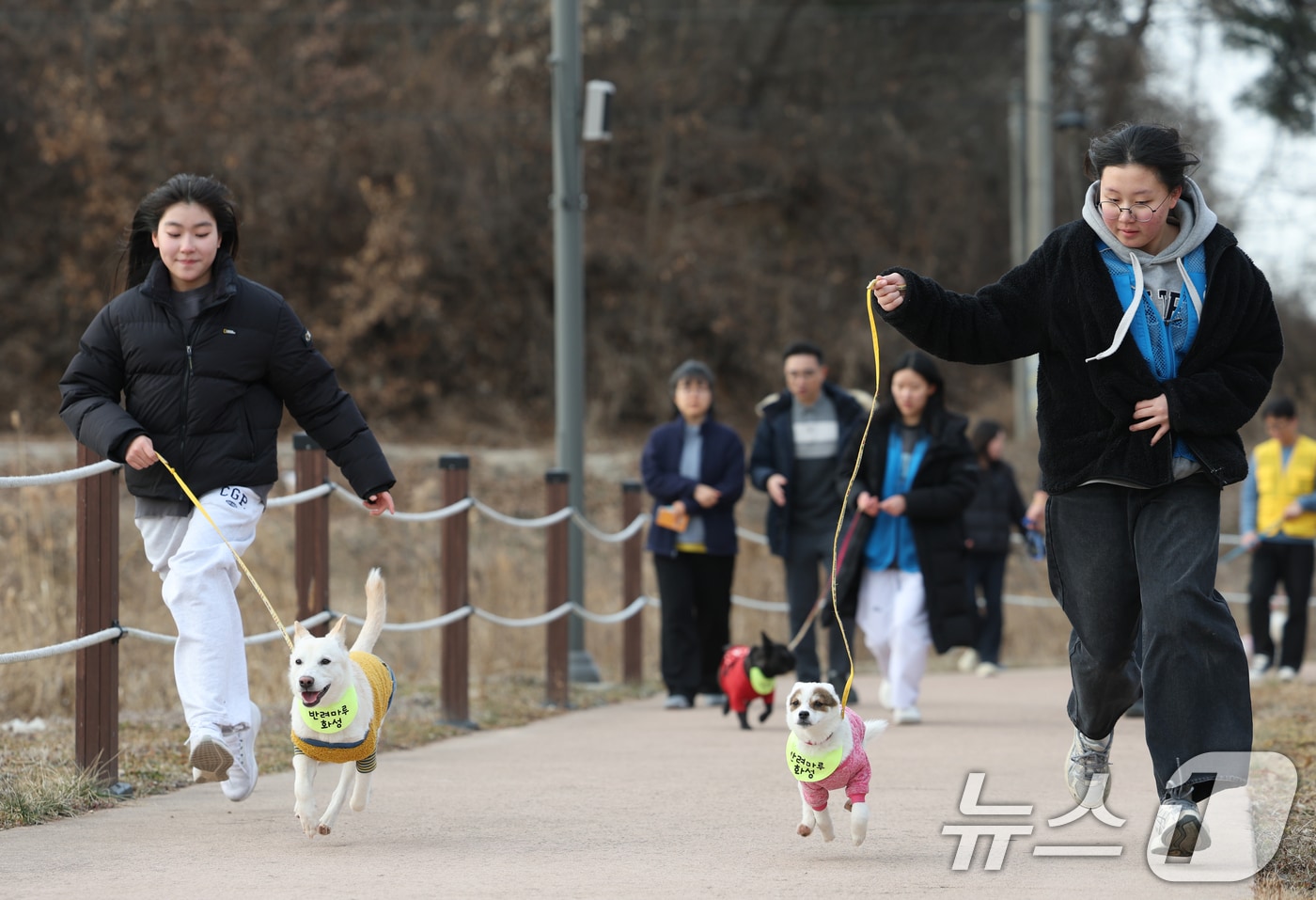 14일 경기 화성시 마도면 반려마루 화성에서 청소년 자원봉사자들이 방학을 맞아 보호동물과 교감활동을 하고 있다. 2026.1.14/뉴스1 ⓒ News1 김영운 기자