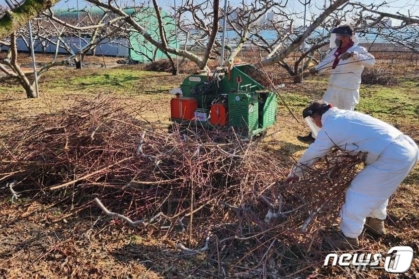 영천시 영농부산물 파쇄지원단 활동 모습.(경산시 제공)/뉴스1 ⓒ News1 정우용 기자