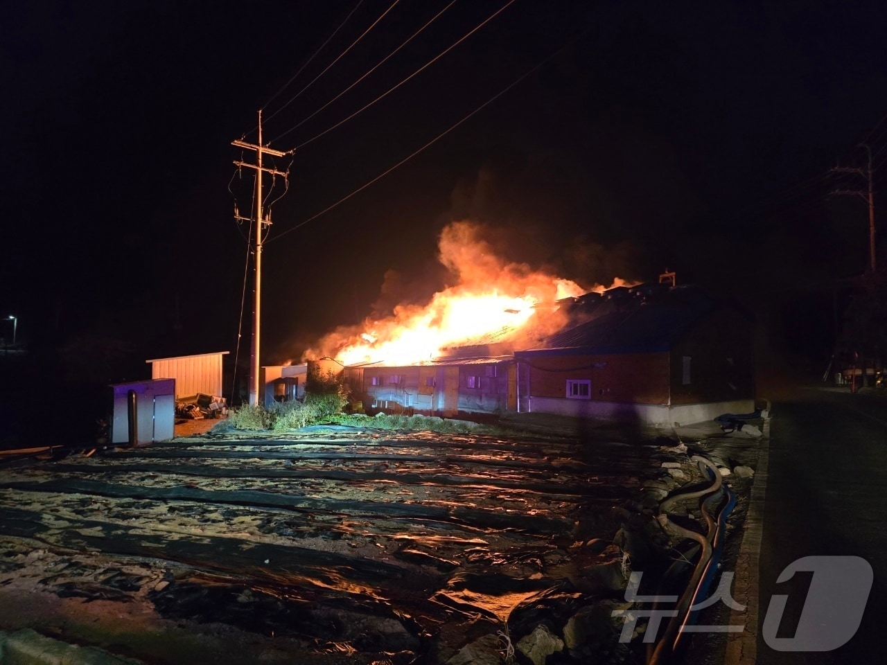 15일 전남 완도 소안면의 김 건조공장에서 난 화재.(전남소방본부 제공. 재배포 및 DB 금지)