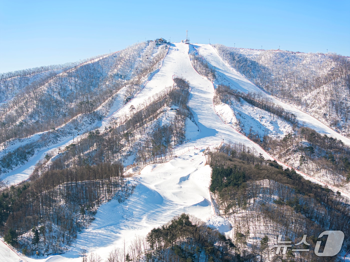 강원 평창 휘닉스파크 슬로프 전경.(휘닉스파크 제공, 재판매 및 DB 금지) 2026.1.15/뉴스1