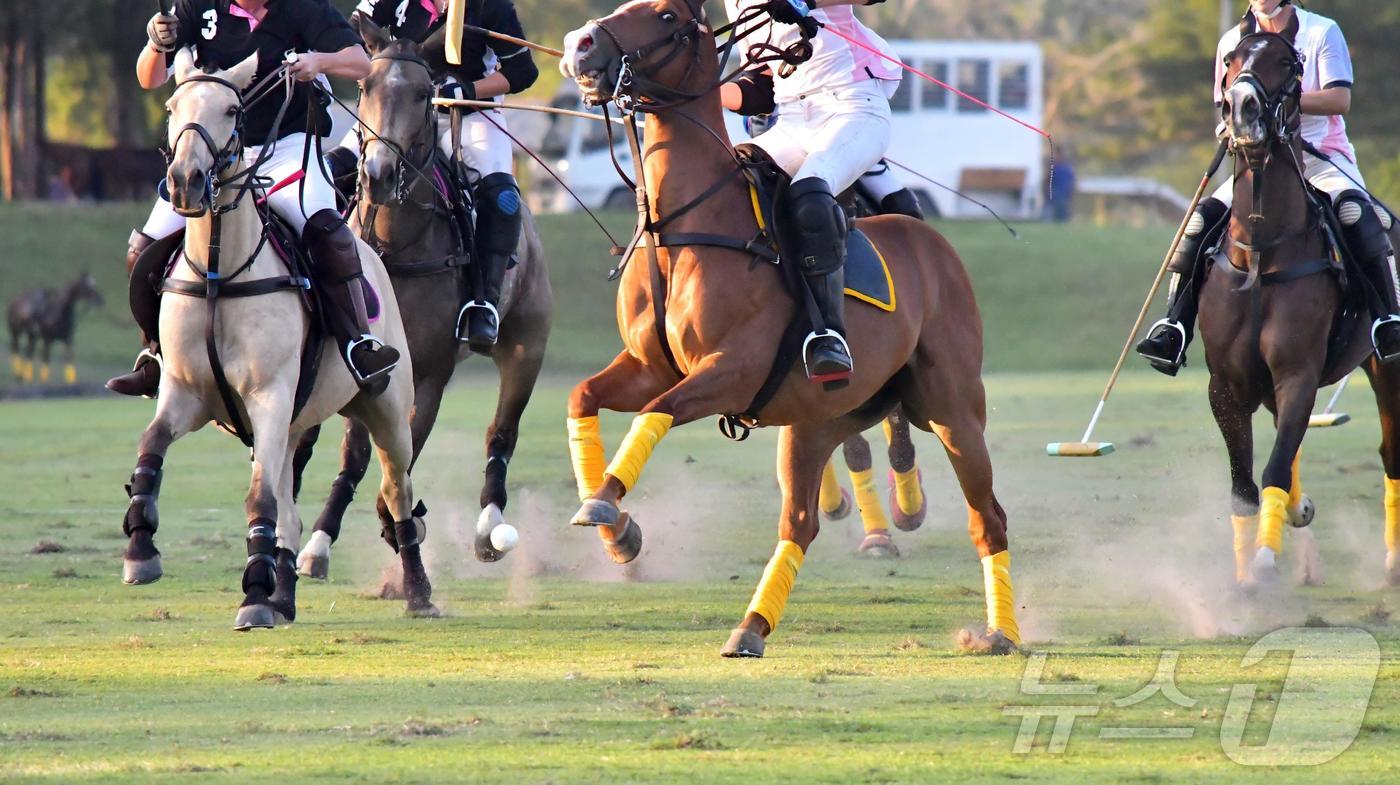 경북도와 경주시, ㈜루브루가 15일 ‘경주 코리아 폴로파크 관광단지 조성’을 위한 협약(MOU)을 맺었다.(경북도 제공. 재판매 및 DB금지) /뉴스1