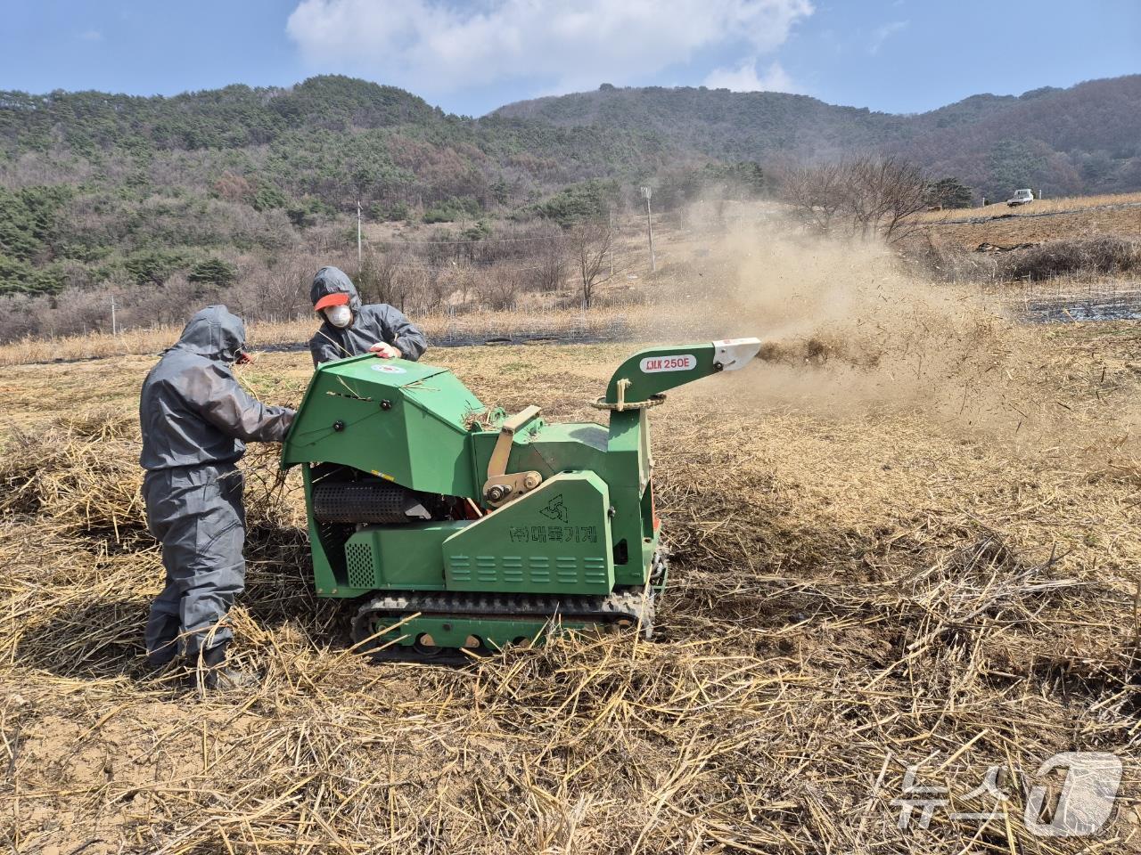  지난해 단양군 영농 부산물 파쇄 모습.(단양군 제공. 재판매 및 DB금지)/뉴스1  