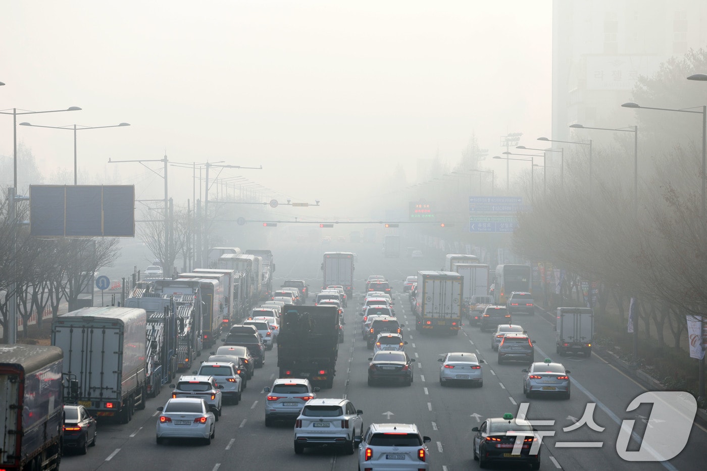 짙은 안개 속 광주 서구 무진대로 일대에서 차량들이 신호를 기다리고 있다. ⓒ 뉴스1 이승현 기자