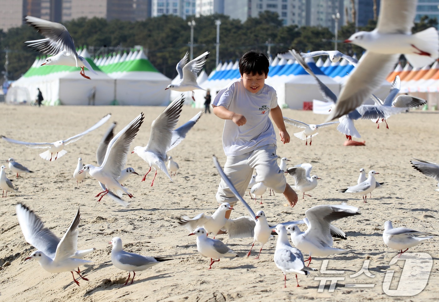 포근한 날씨를 보인 지난달 16일 부산 해운대해수욕장에서 반팔 차림을 한 어린이가 갈매기의 군무를 보며 즐거운 시간을 보내고 있다. 2026.1.16 ⓒ 뉴스1 윤일지 기자
