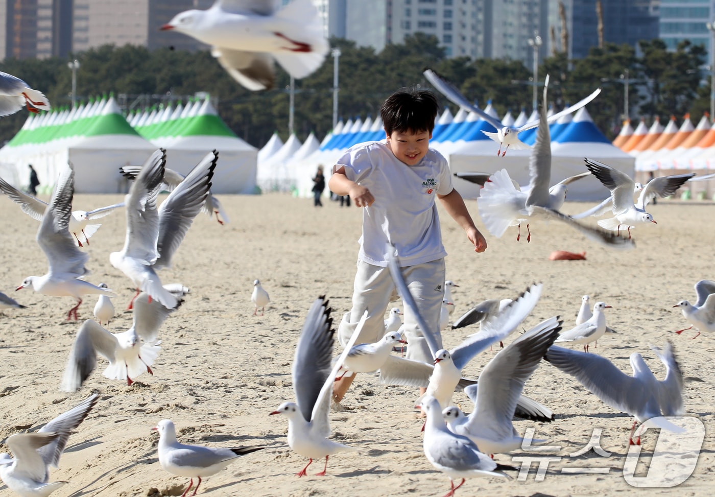 포근한 날씨를 보인 16일 부산 해운대해수욕장에서 반팔 차림을 한 어린이가 갈매기의 군무를 보며 즐거운 시간을 보내고 있다. 2026.1.16/뉴스1 ⓒ News1 윤일지 기자