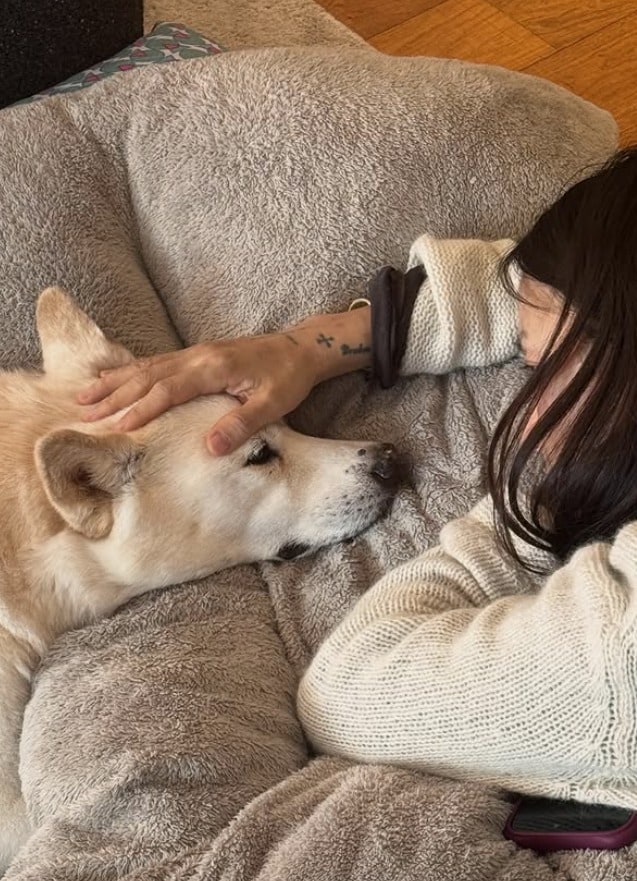 가수 이상순 인스타그램