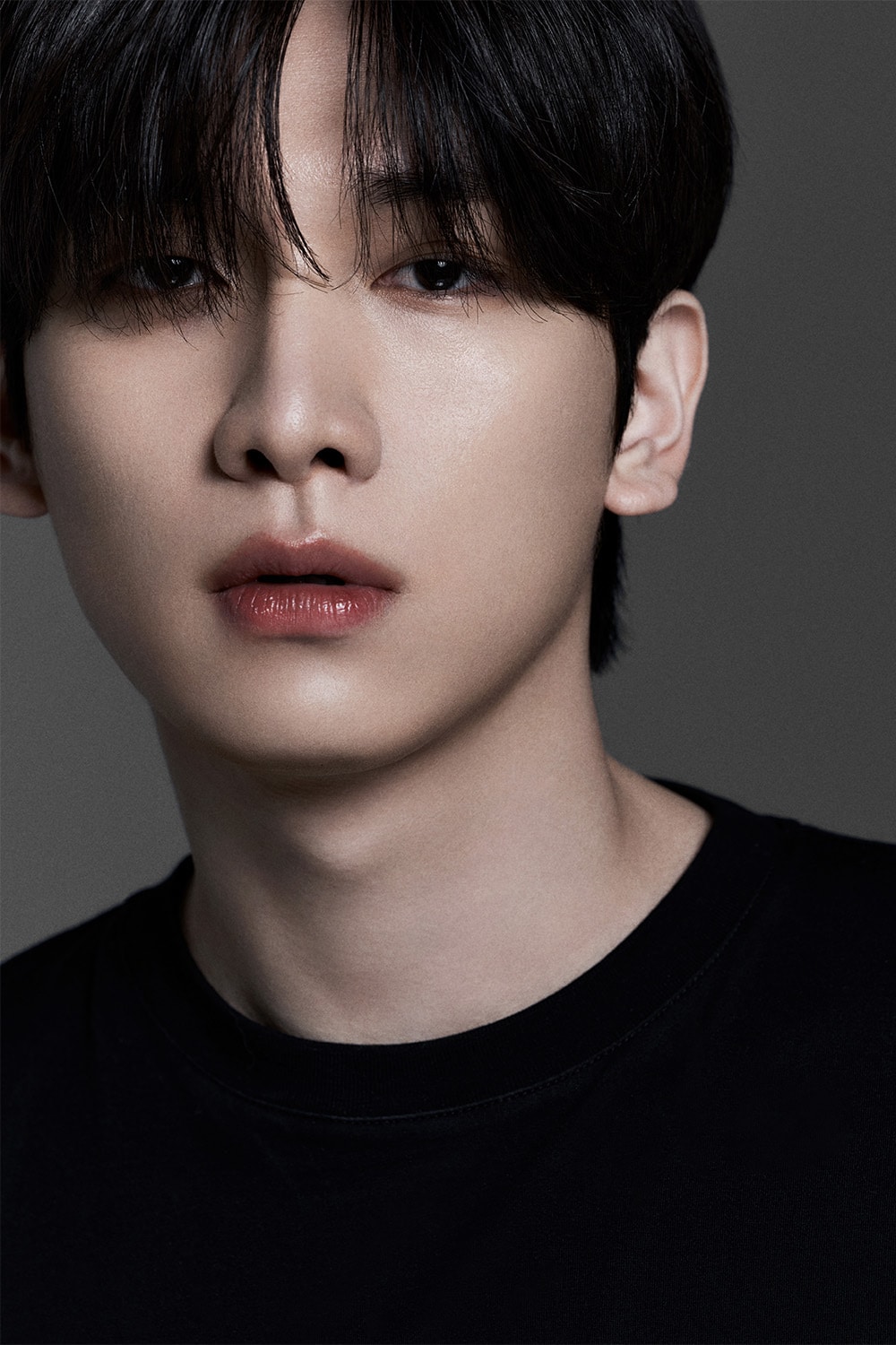 혁/컴패니언컴퍼니 제공