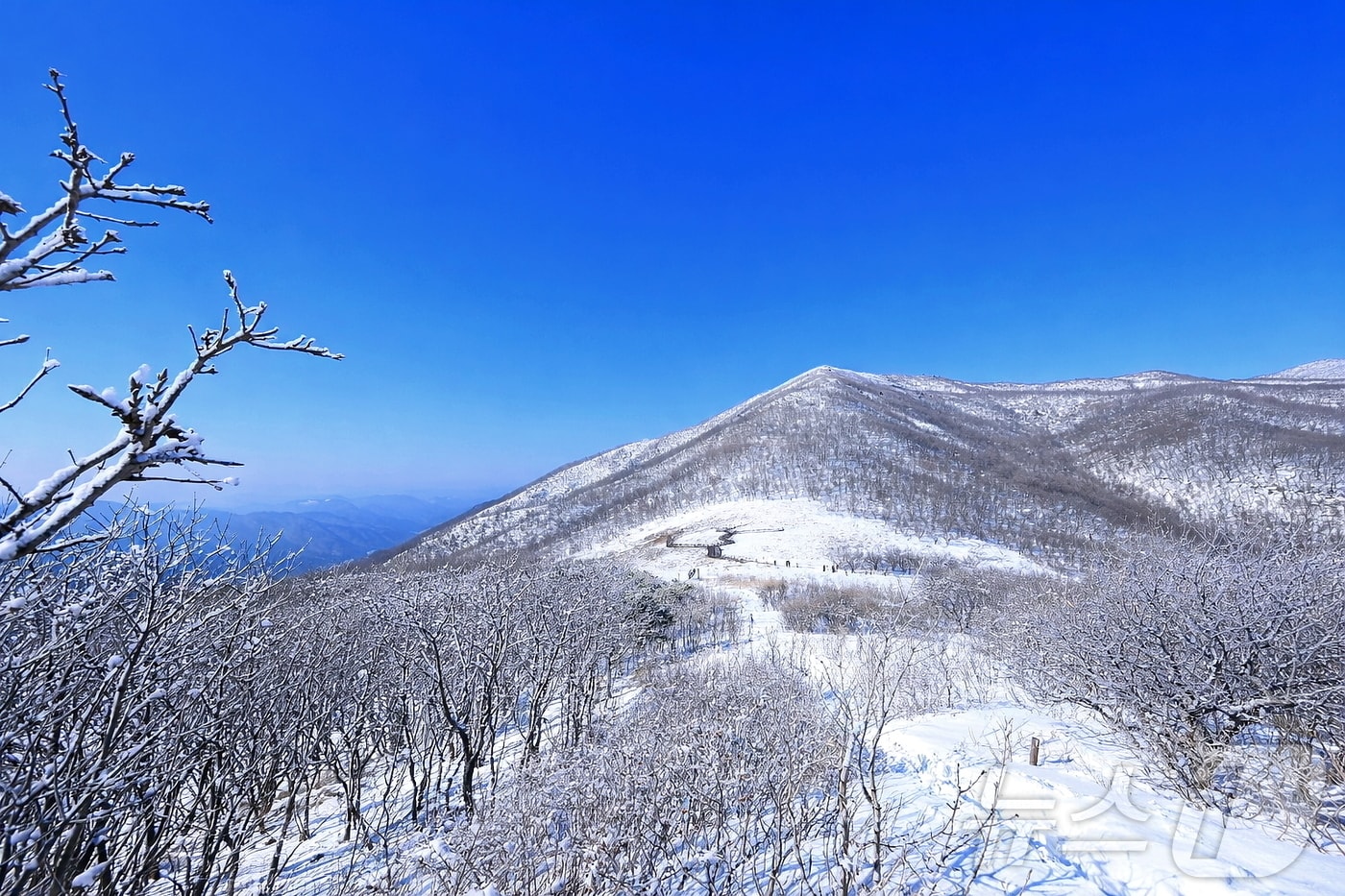 인제군 기린면에 위치한 곰배령에 내린 눈.(자료사진)/뉴스1 DB