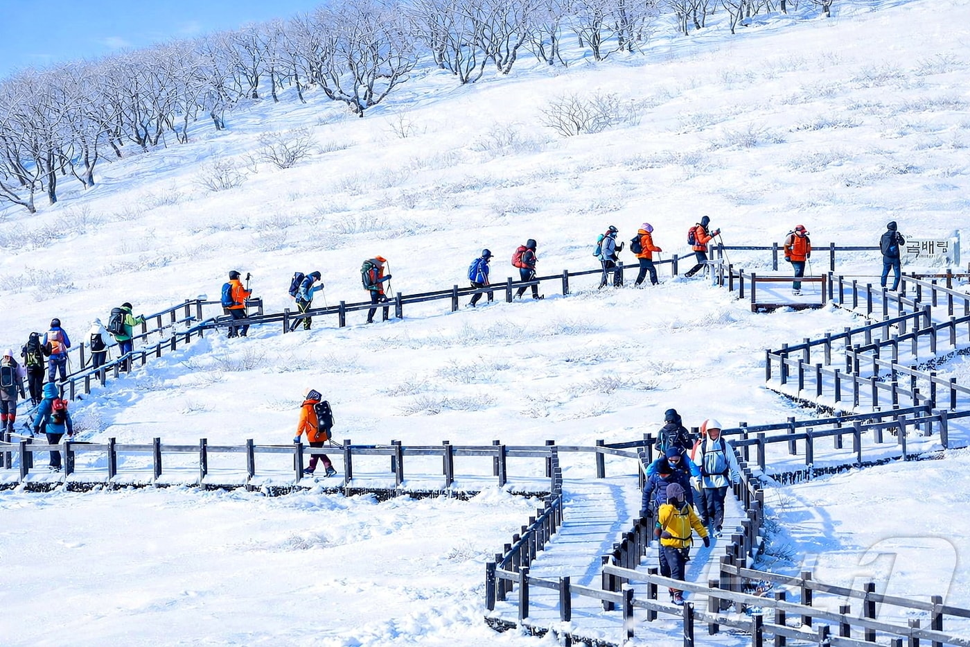 인제군 기린면에 위치한 곰배령에서 탐방객들이 트레킹을 즐기는 모습. '천상의 화원' 이라고도 불리는 곰배령은 3.7㎞ 왕복 4시간 코스이며 오전 9시부터 오후 2시까지 운영된다.(자료사진)/뉴스1 DB