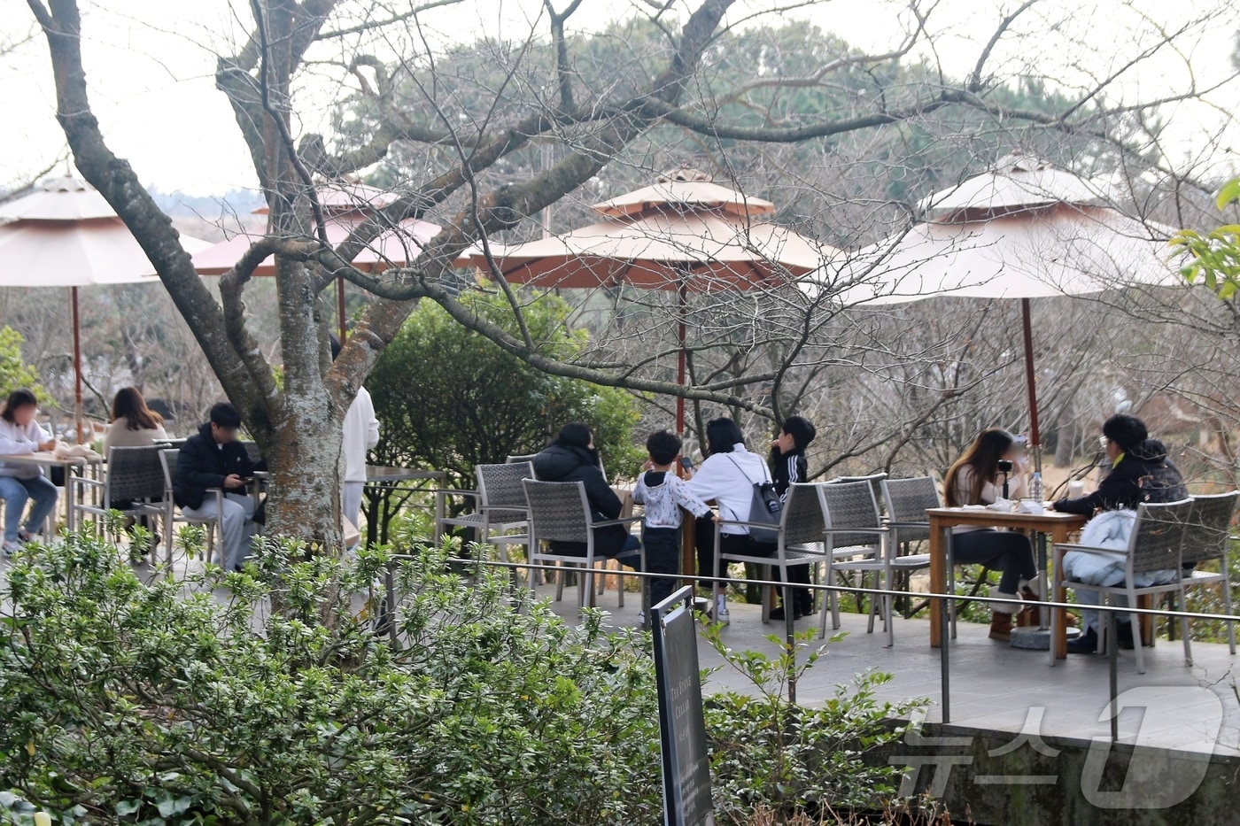 '방문객 20% 증가' 제주 관광 호조...도, "비수기 없는 사계절 관광 구축... - 뉴스 썸네일 이미지