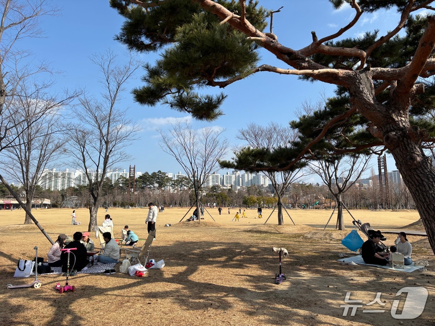 15도에 육박하는 따뜻한 기온에 많은 시민들이 부산시민공원에서 피크닉을 즐겼다. 2026.1.18/뉴스1 ⓒ News1 홍윤 기자