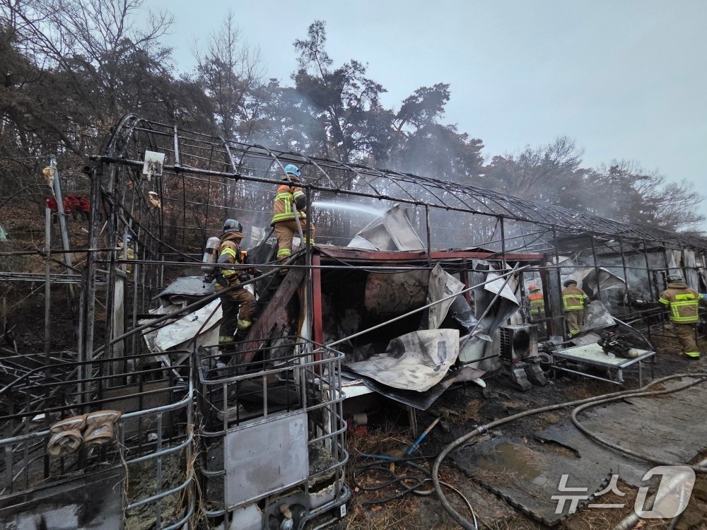 19일 오전 5시40분쯤 대구 달성군 다사읍의 한 비닐하우스에서 불이 나 소방 당국이 진화하고 있다.(대구소방안전본부 제공. 재판매 및 DB금지)
