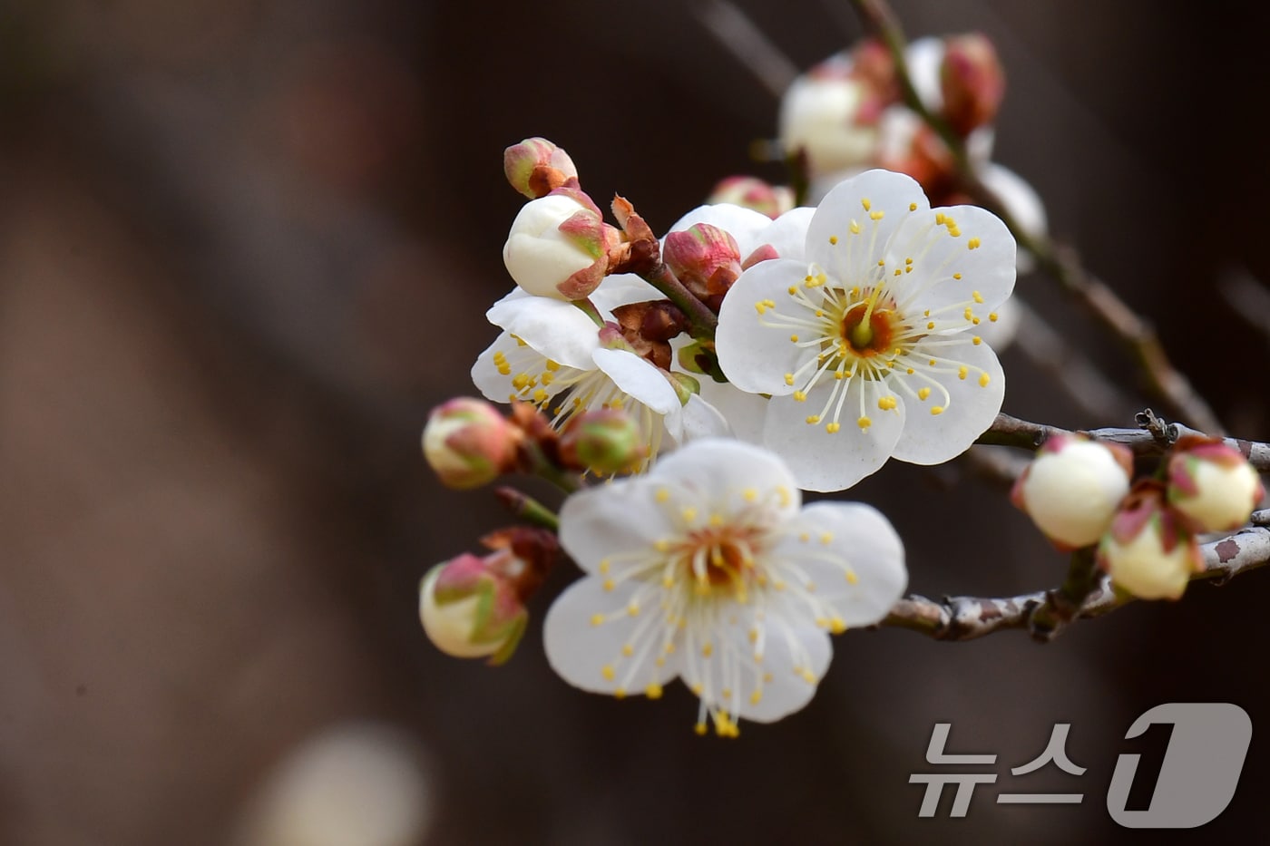 자료사진.  ⓒ News1 최창호 기자