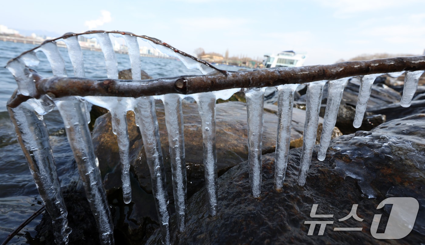 영하권의 낮 기온을 보인 지난 19일 서울시 영등포구 한강변에 고드름이 달려 있다 2026.1.19/뉴스1 ⓒ News1 김명섭 기자