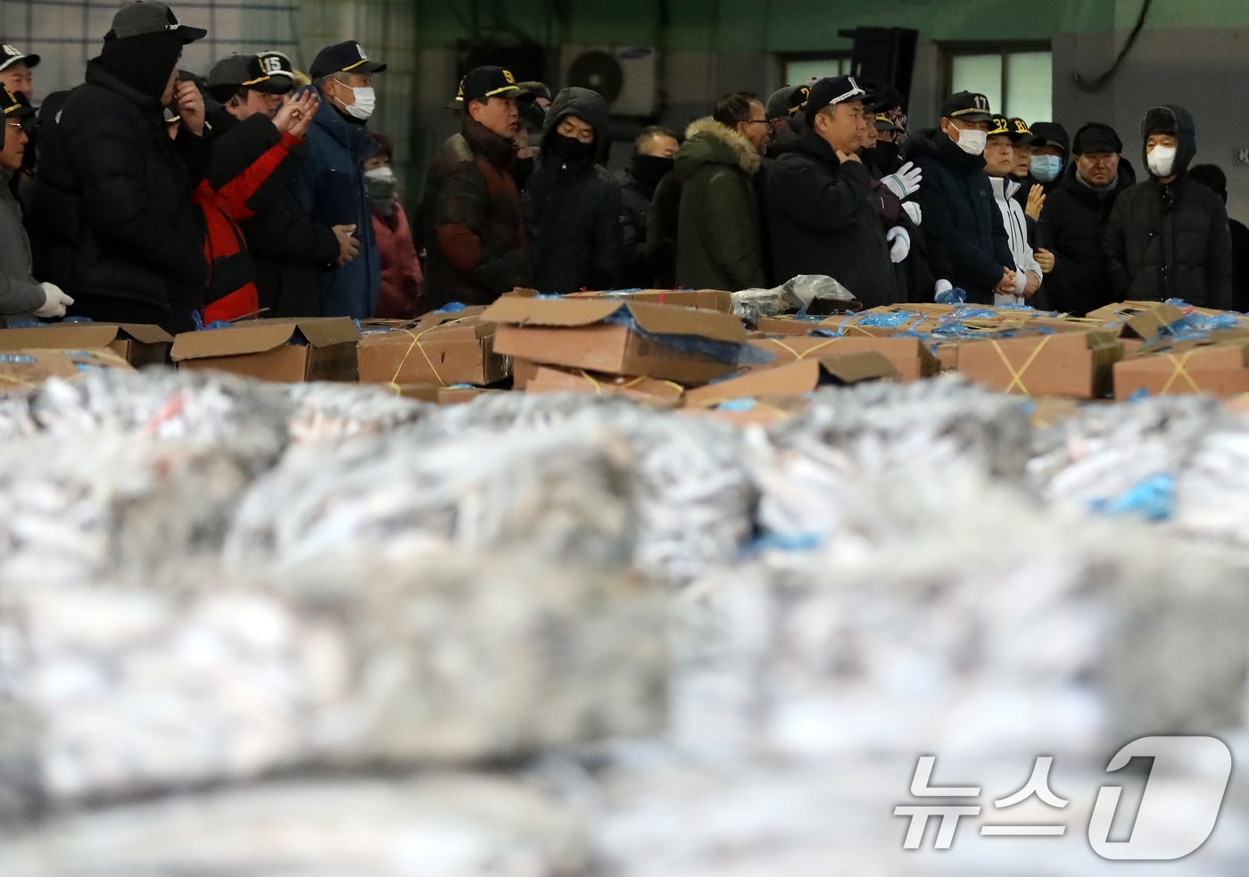 지난해 2일 새해 첫 수산물 경매가 진행되는 모습 2026.1.2 ⓒ 뉴스1 윤일지 기자