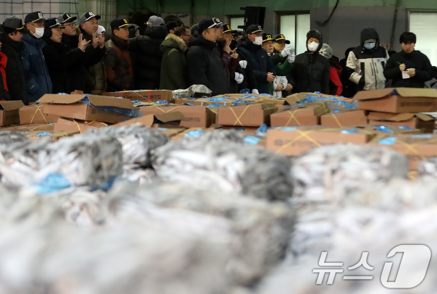 부산 서구 부산공동어시장에서 중도매인들이 힘찬 손짓으로 새해 첫 수산물 경매를 진행하고 있다. 2026.1.2 ⓒ 뉴스1 윤일지 기자