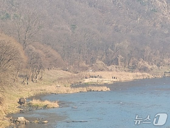 충북 영동 천태산에서 실종된 80대 남성 추정 시신의 발견 모습./뉴스1