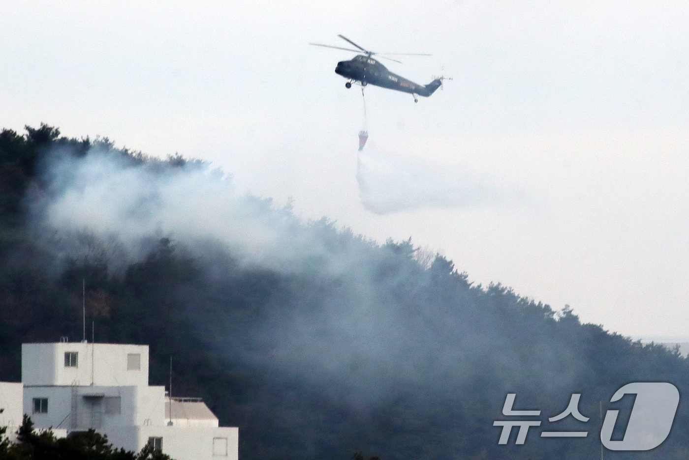 20일 오전 울산 울주군 삼남읍 교동리 작천정계곡 인근에서 산불이 나 산불 진화 헬기가 진화 작업을 벌이고 있다. 2026.1.20/뉴스1 ⓒ News1 윤일지 기자