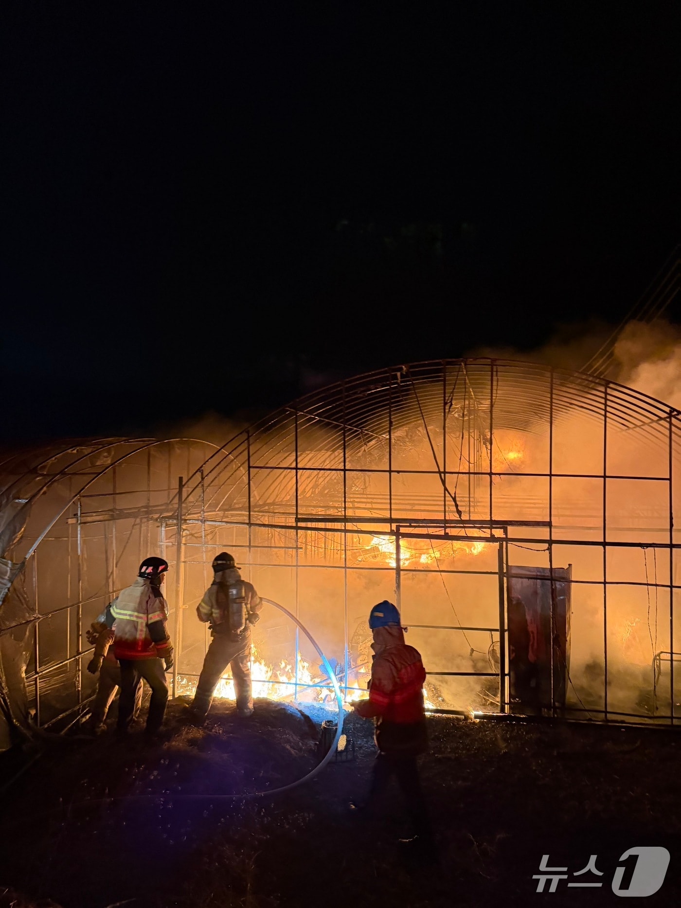 20일 오전 4시 33분쯤 전남 나주 토마토 비닐하우스에서 화재가 발생해 소방당국이 진화 작업을 펼치고 있다. (전남소방본부 제공. 재판매 및 DB금지)
