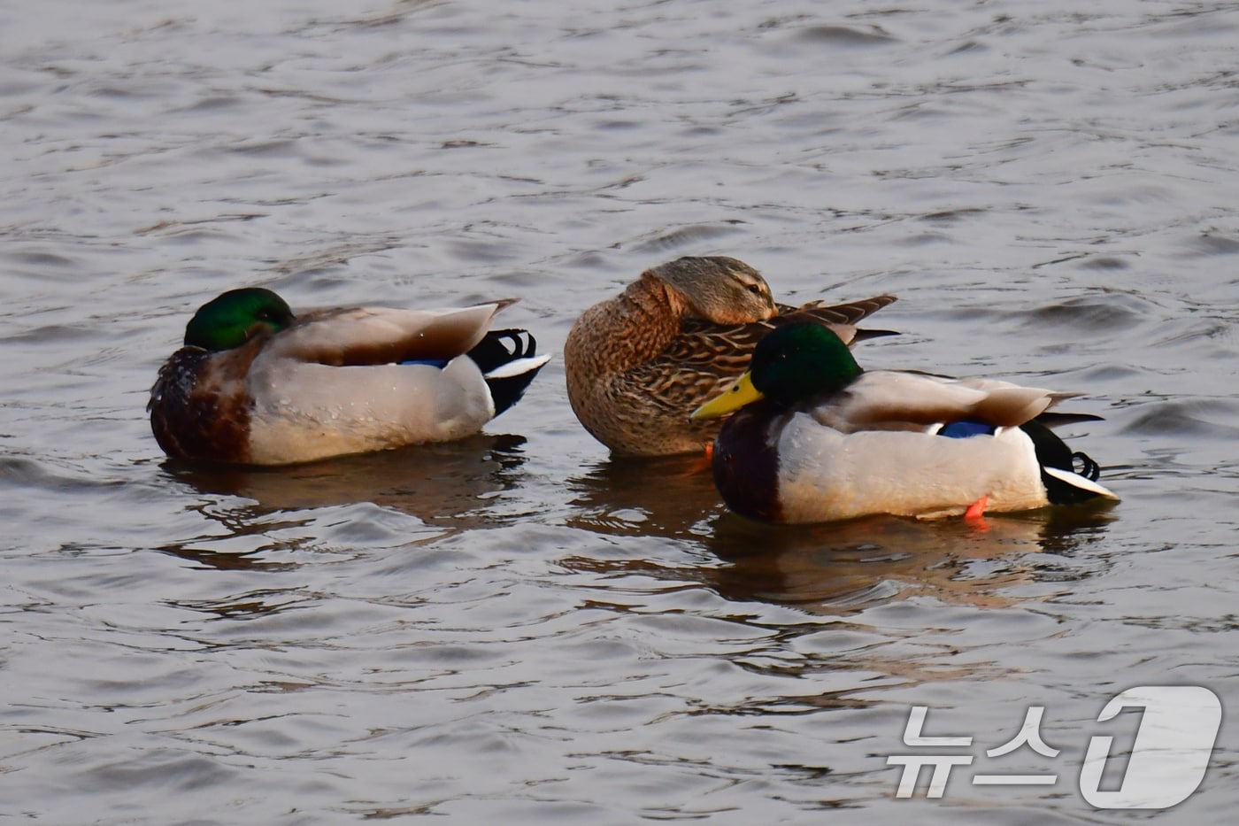 〈자료사진〉/뉴스1