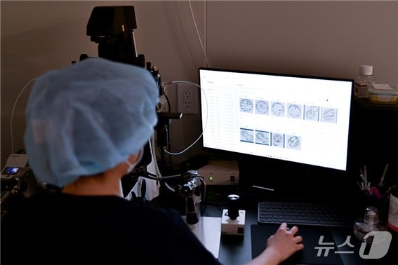 아인병원 아인비난임센터 생식의학연구소에서 연구원이 AI 배아 분석 프로그램을 통해 배아를 선별하고 있다. (아인병원 제공.재판매 및 DB금지)
