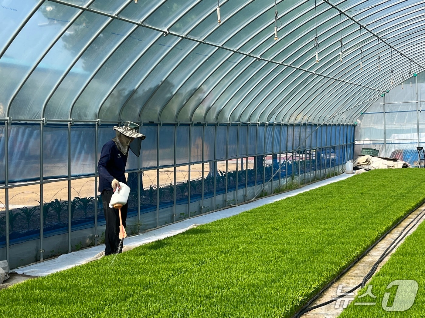 전북 임실군이 오는 2월 6일까지 육묘상자처리제 지원사업 신청을 받는다.(임실군제공, 재판매 및 DB금지)2026.1.20/뉴스1