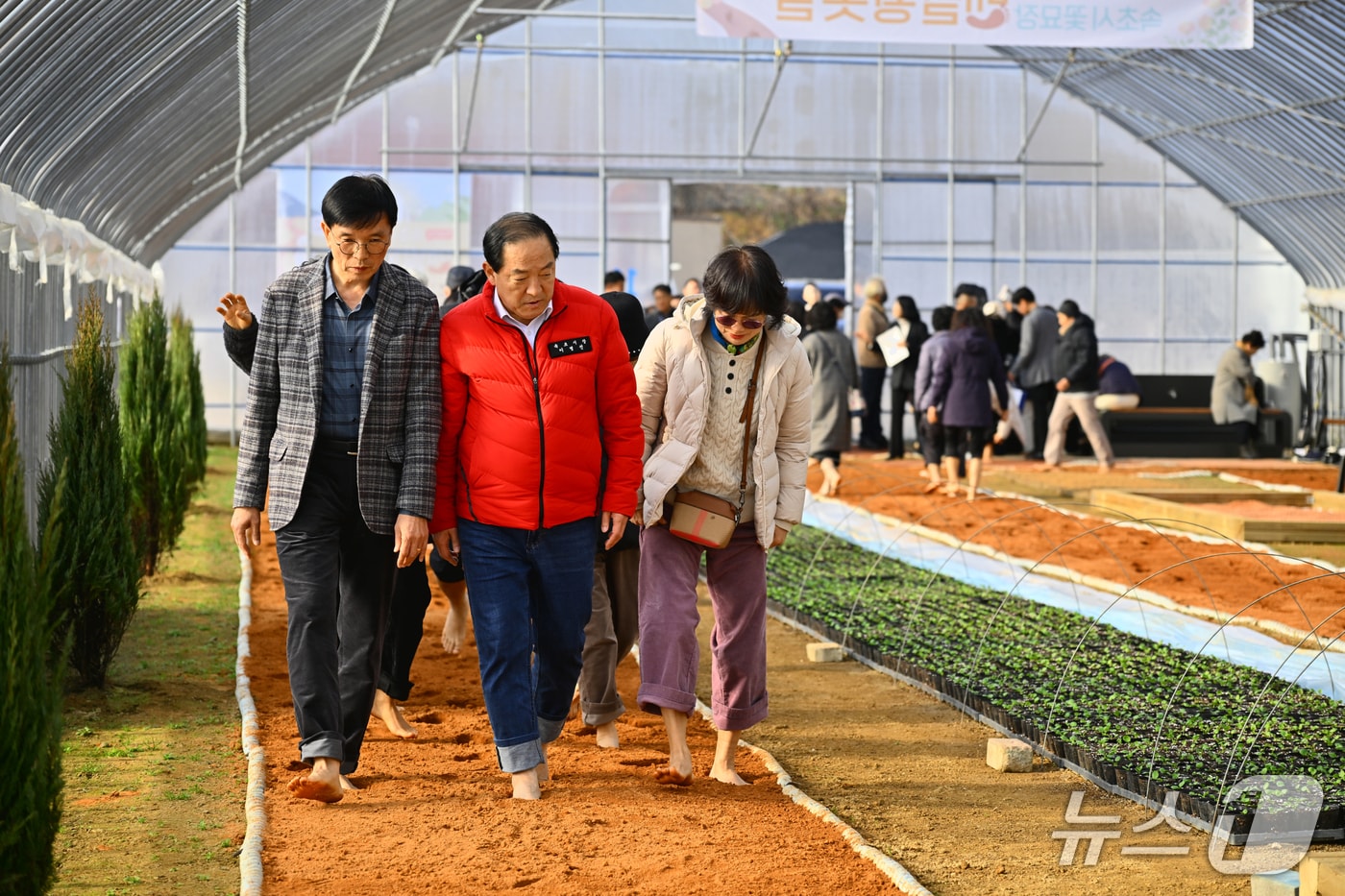 강원 속초시 꽃묘장 맨발황톳길 걷고 있는 이병선 시장과 관계자.(속초시 제공, 재판매 및 DB 금지) 2026.1.20/뉴스1