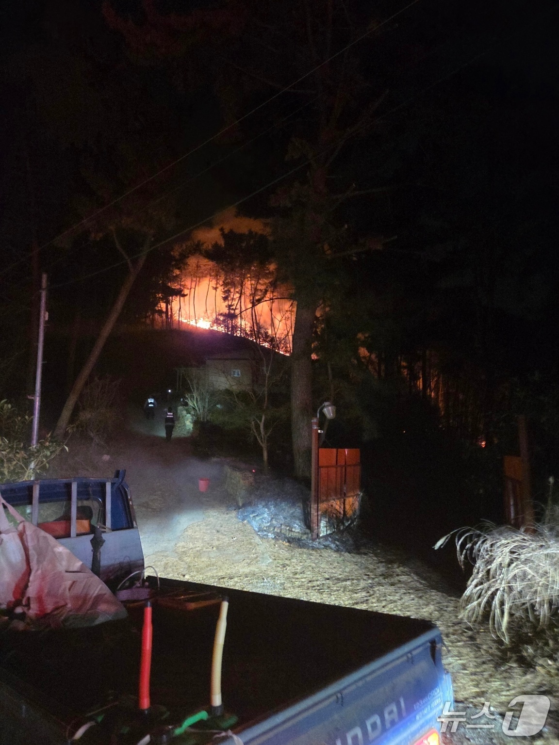 20일 오전 1시 12분쯤 창원시 마산합포구 진전면 시락리의 야산에서 불이 났다. 사진은 화재 현장모습.(산림청 제공. 재판매 및 DB금지)