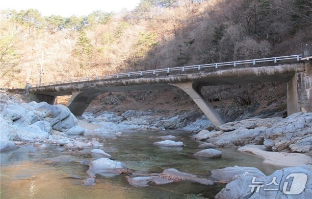 북면 용대리 수교지구.(인제군 제공. 재판매 및 DB금지)/뉴스1