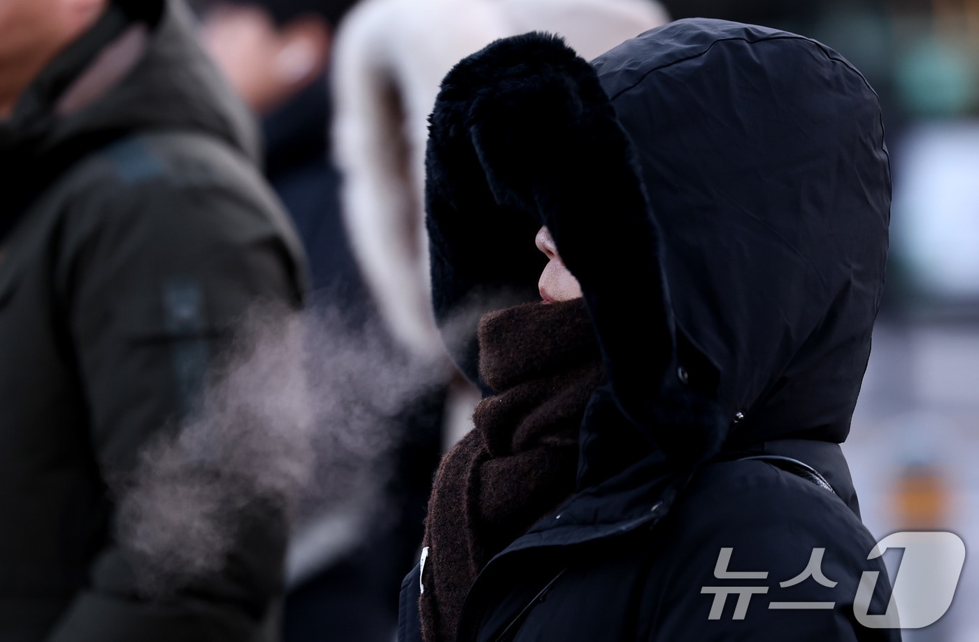 관련 사진. 2026.1.21/뉴스1 ⓒ News1 구윤성 기자
