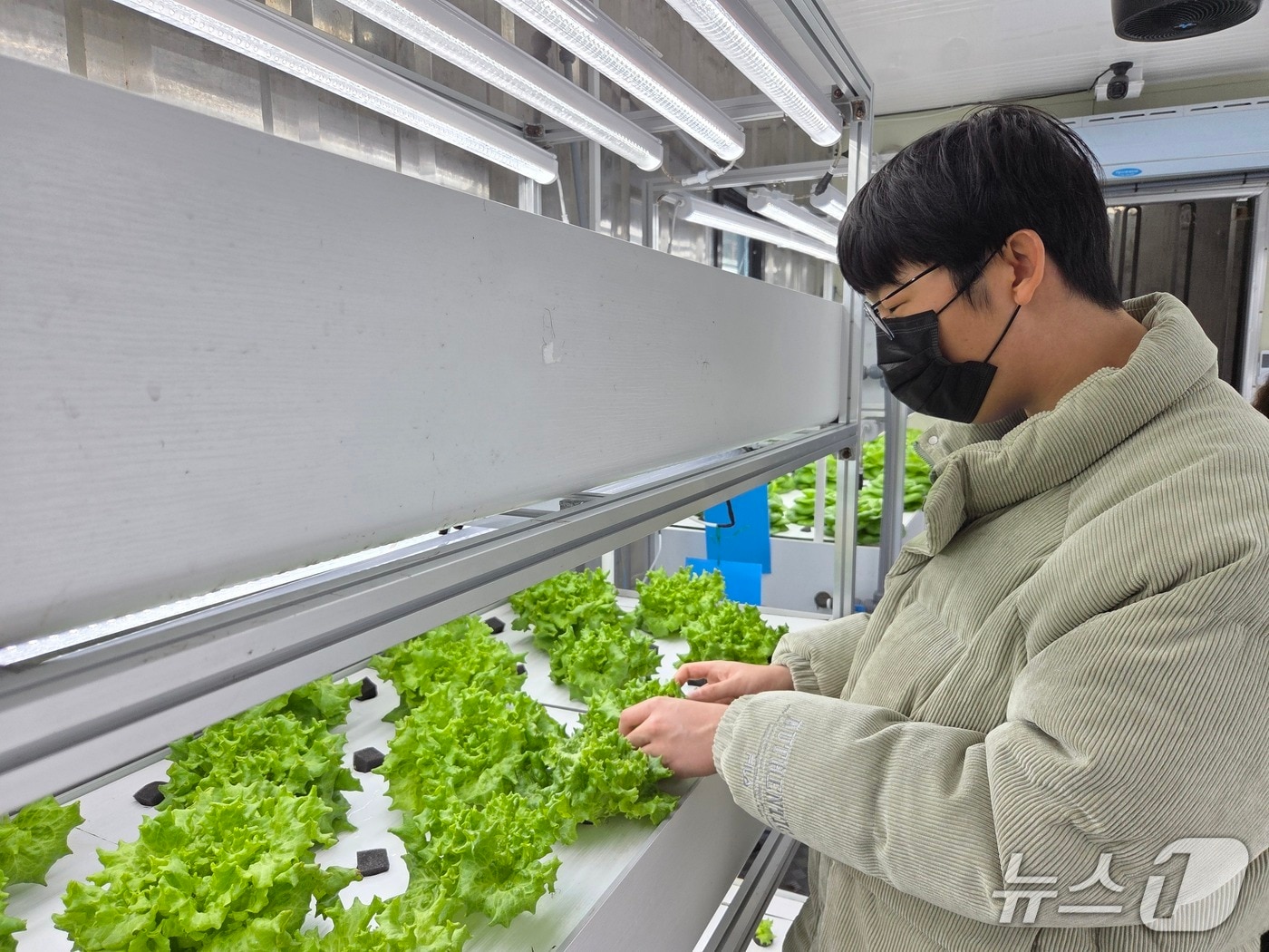 장애학생 직업교육(스마트팜 관리) 모습.(부산시교육청 제공. 재판매 및 DB금지)