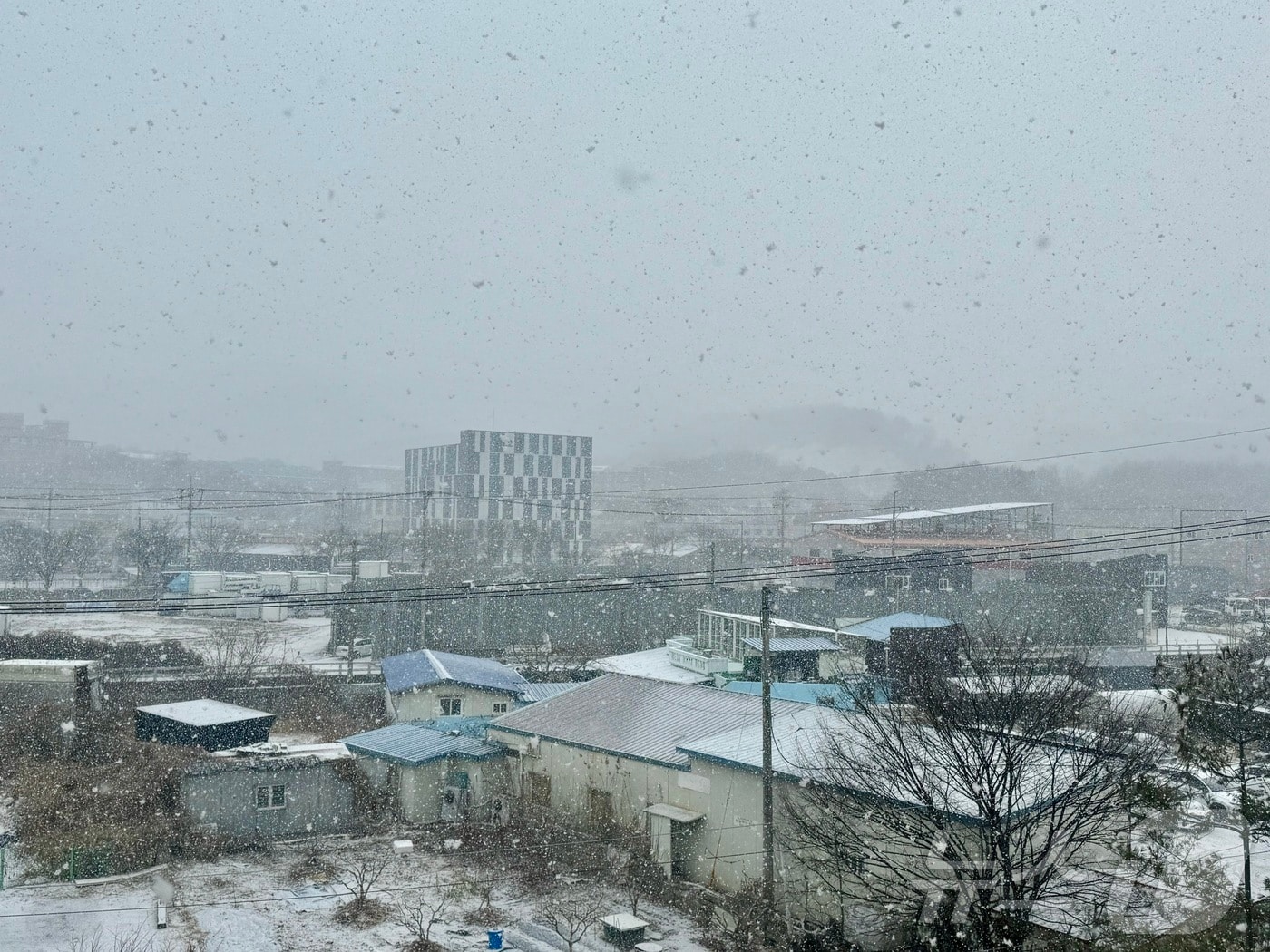 21일 오전 광주 광산구 소촌동 일대에 눈이 내리고 있다. ⓒ News1 이승현 기자