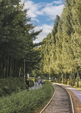 경춘선숲길을 산책하는 시민들(노원구 제공)