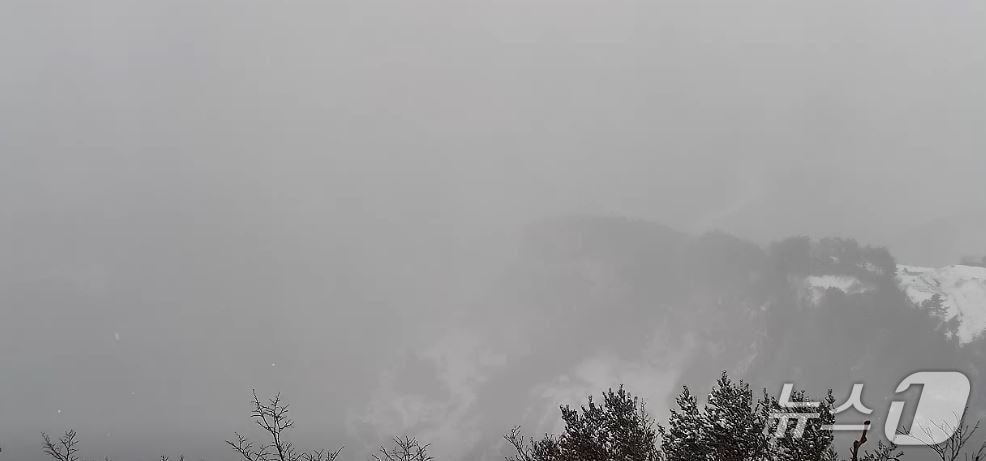 울릉도 내수전전망대에 설치된 CCTV 화면 (실시간 웹방송 갈무리. 재판매 및 DB금지)