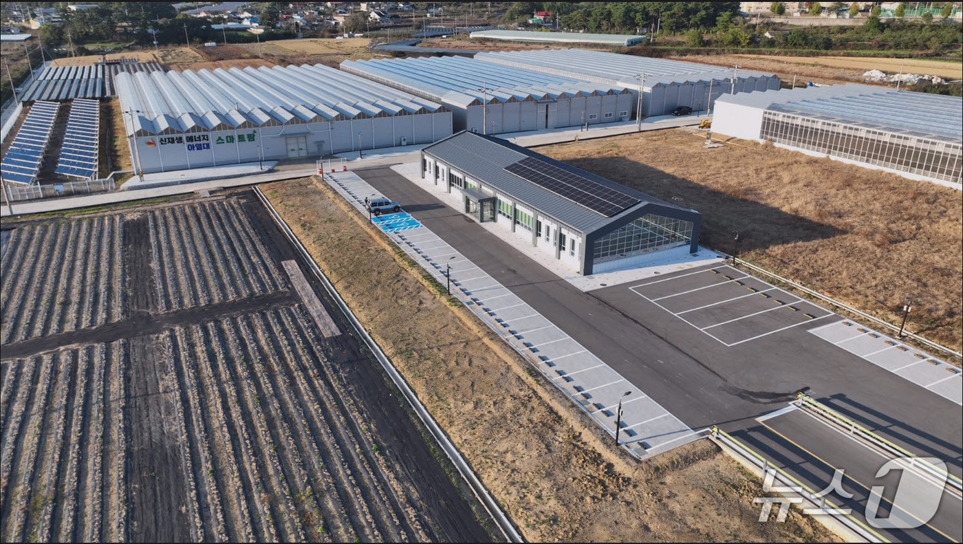 영천시에 있는 아열대 스마트팜 모습.(영천시 제공. 재판매 및 DB금지)/뉴스1