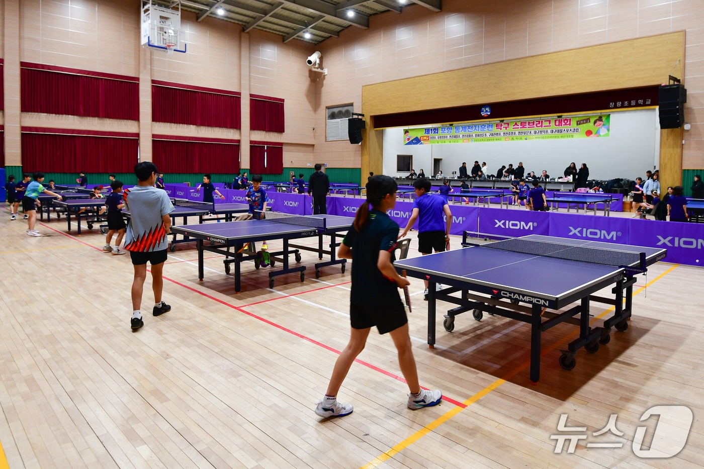 21일 경북 포항시 장량초등학교 체육관에서 열린 제1회 경북 포항동계전지훈련 탁구 스토브리그 대회가 열리고 있다.  2026.1.21/뉴스1 ⓒ News1 최창호 기자