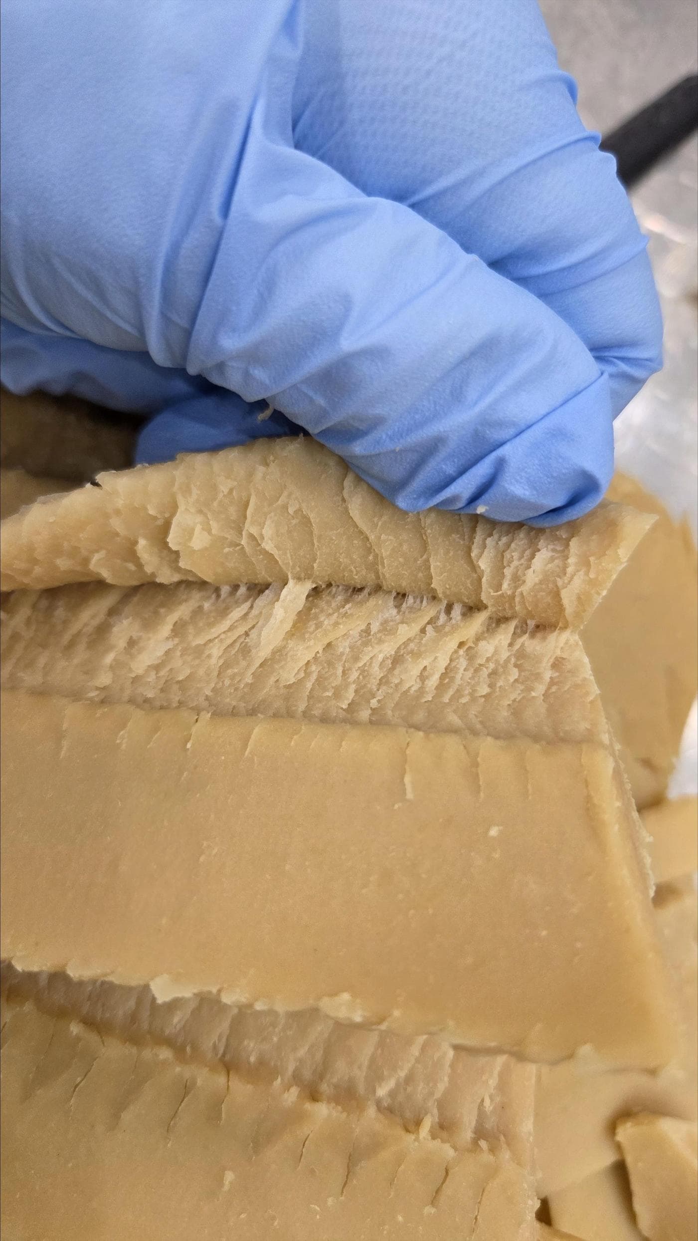 국산 콩 활용 '글루텐-프리' 식물성 단백질 소재 (농촌진흥청 제공. 재판매 및 DB금지) 2026.1.21/뉴스1