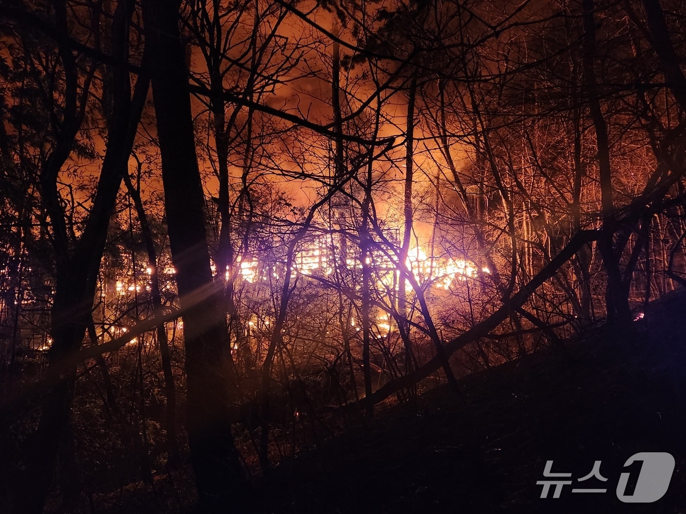 21일 오후 7시 45분쯤 부산 기장군 기장읍 청강리의 한 공장에서 불이나 인근 야산으로 번졌다. 사진은 화재 현장 모습.(부산소방재난본부 제공. 재판매 및 DB금지)