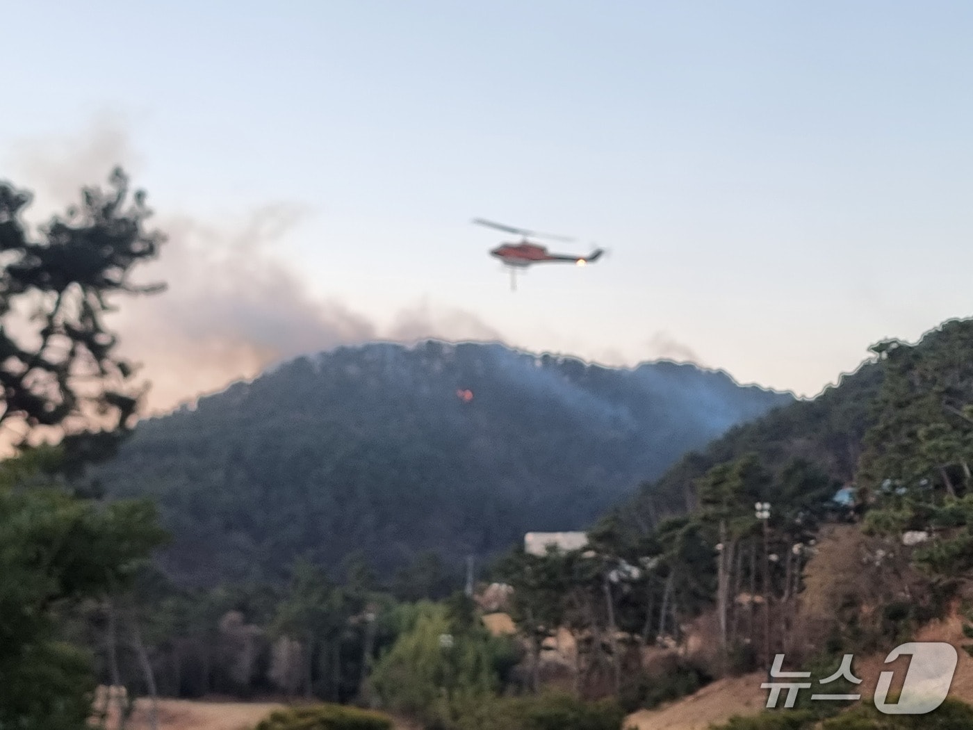 소방, 산림 당국은 날이 밝자마자 헬기 17대와 진화 인력 375명 등 가용 자원을 총동원해 공세적인 진화를 하고 있다. 2026.01.22/뉴스1 ⓒ News1 임순택 기자