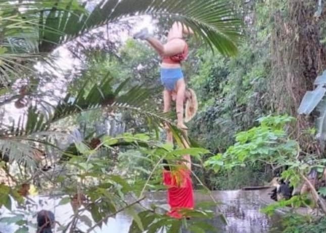 (더 타이거 갈무리)