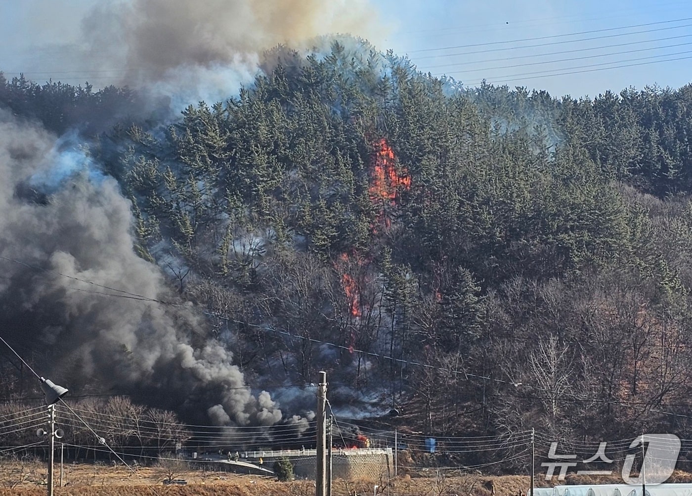 진주 집현면 산불 현장(독자 제공. 재판매 및 DB금지). 2026.1.22