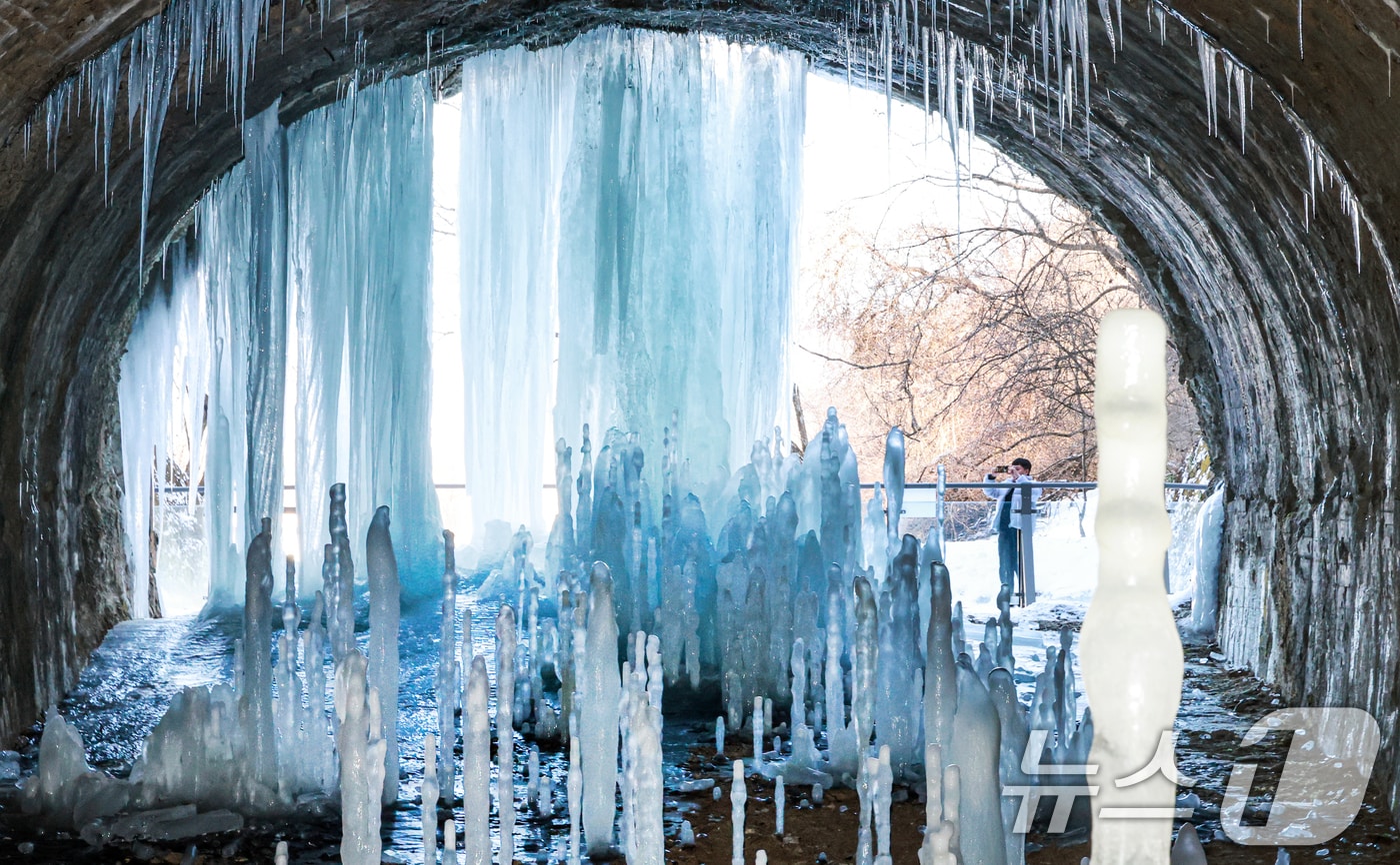 경기 연천군 신서면 경원선 폐터널에 생성된 역고드름. /뉴스1