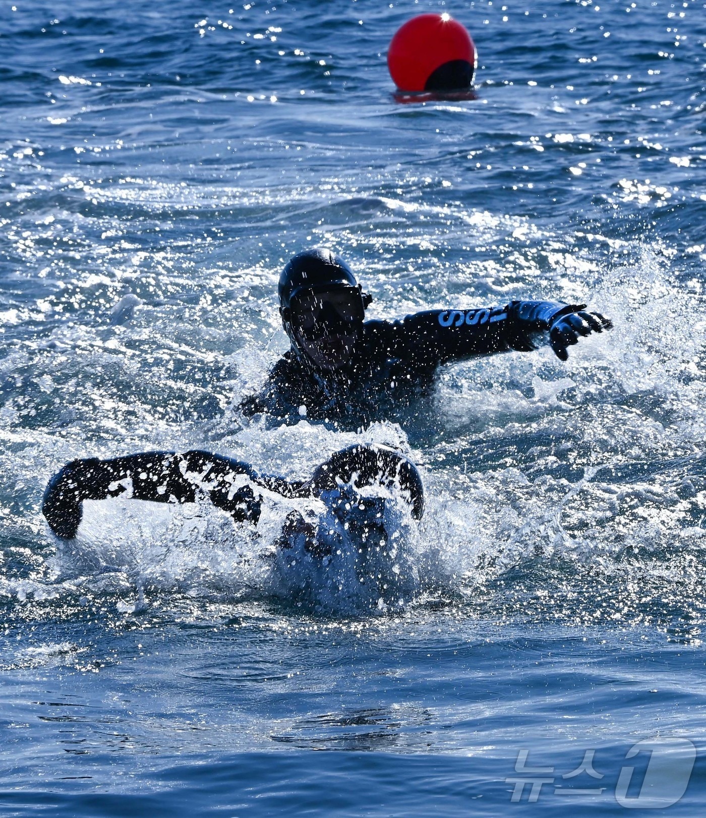 해군 1함대 해난구조전대(SSU) 5구조작전중대 대원들이 22일 철인 심해잠수팀 선발 경기 릴레이 수영 종목에서 반환점을 돌아 마지막 골라인을 향해 전력을 다하고 있다.(해군1함대 제공, 재판매 및 DB 금지) 2026.1.22/뉴스1 