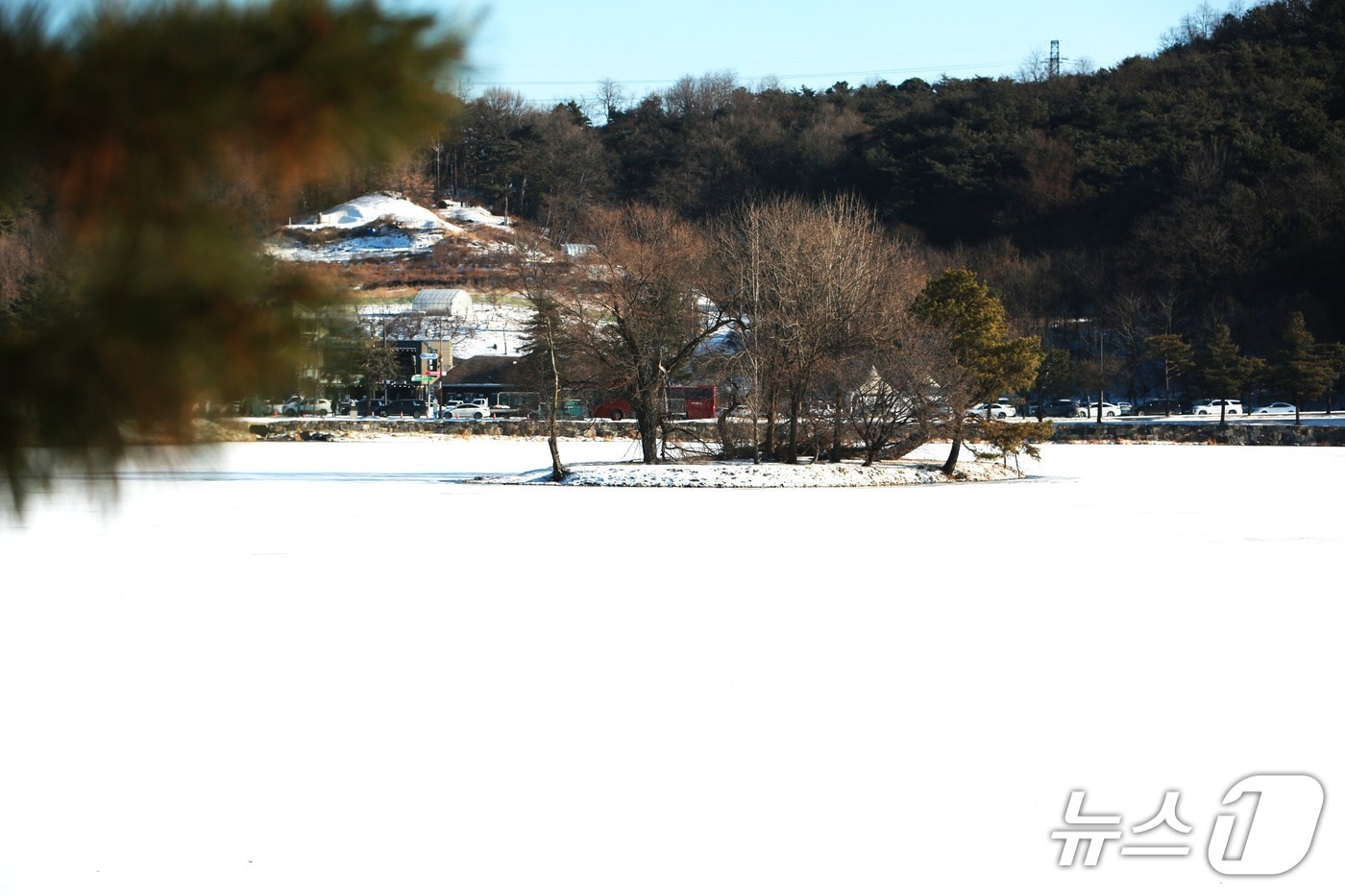 얼어붙은 제천 의림지./뉴스1