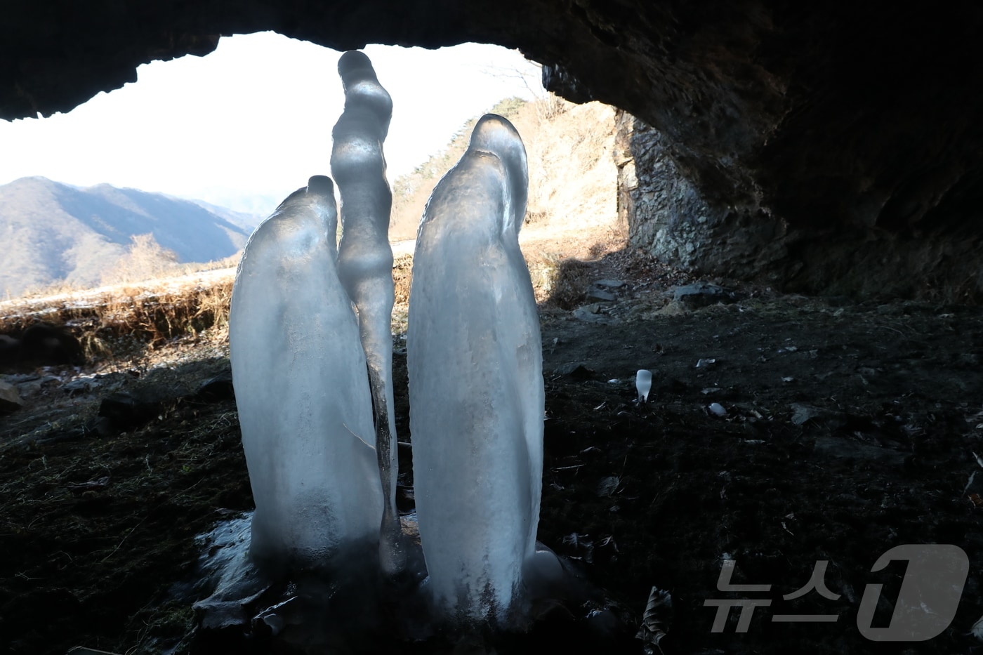 충북 제천시 덕산면 수산리 작은 사찰 보덕암 인근 보덕굴에서 석순처럼 자라는 역고드름이 겨울 진풍경을 연출하고 있다. /뉴스1 ⓒ News1 손도언 기자